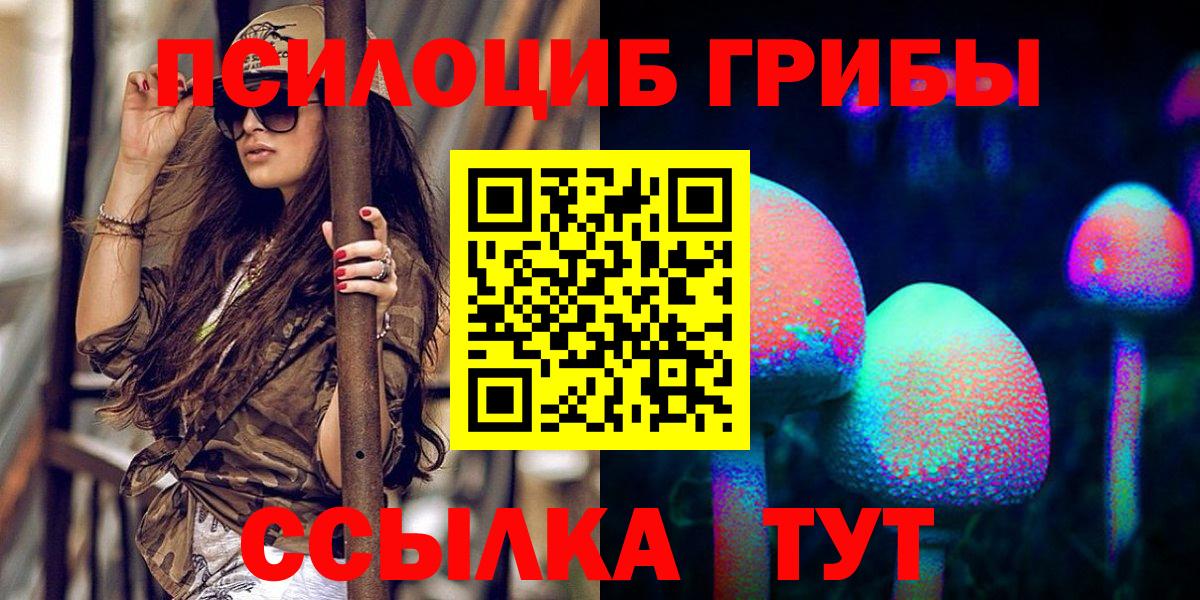 Галлюциногенные грибы прущие грибы  Вход с VPN  Ачхой-Мартан 