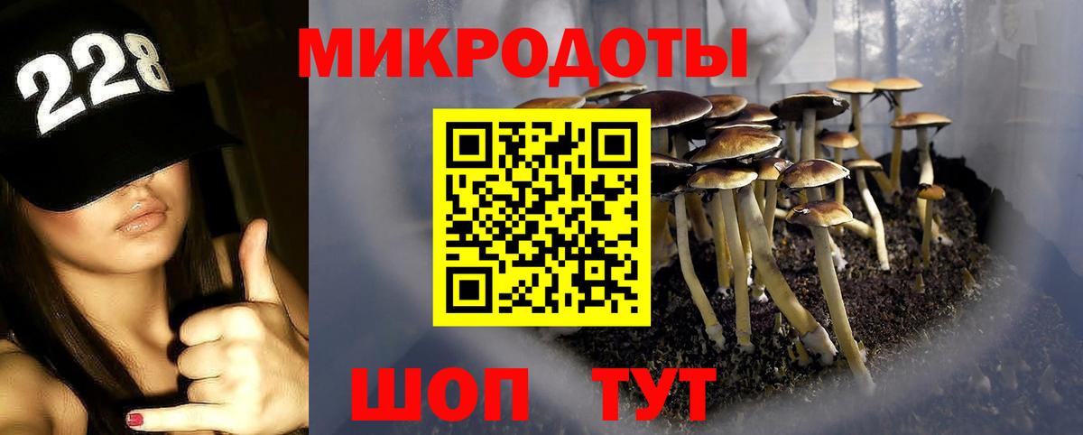 Псилоцибиновые грибы прущие грибы Ачхой-Мартан